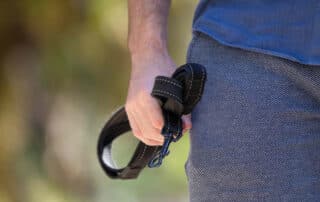 A close-up of an individual holding a black leash while their dog is off-leash, illustrating a potential violation of Pennsylvania dog leash laws in Scranton.