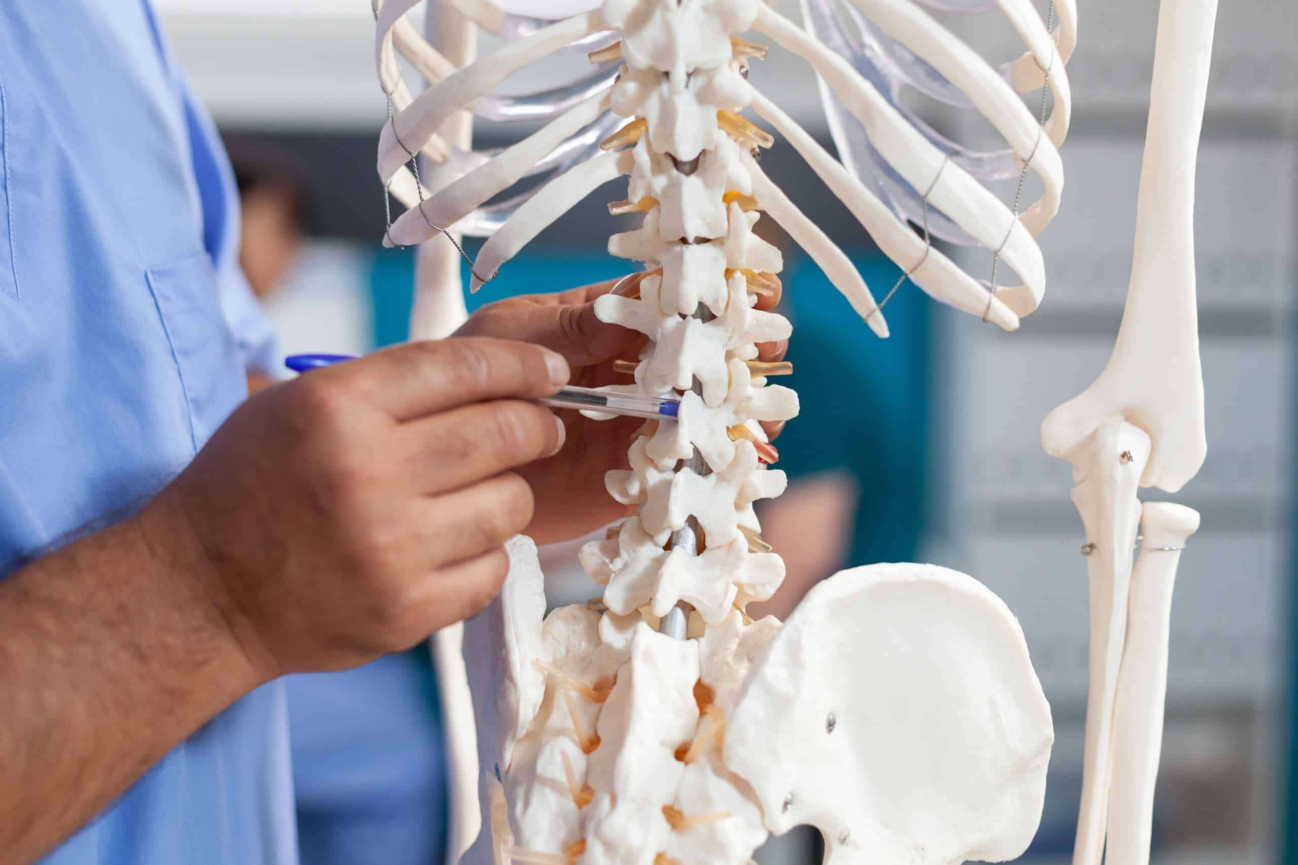 A doctor pointing to a spine model to explain damage represented by Philadelphia spinal cord injury lawyers.